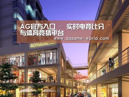 案例展示一(图1)