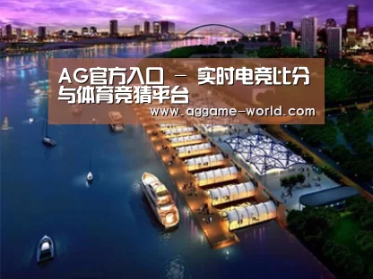 案例展示八