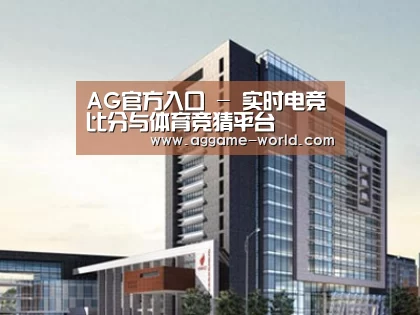 案例展示七