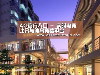 案例展示一