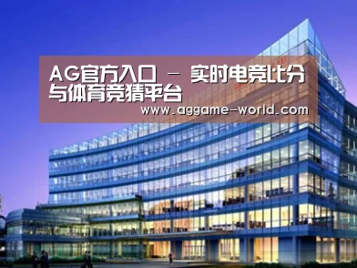 案例展示五