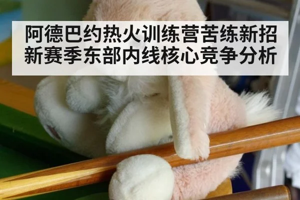 阿德巴约热火训练营苦练新招 新赛季东部内线核心竞争分析
